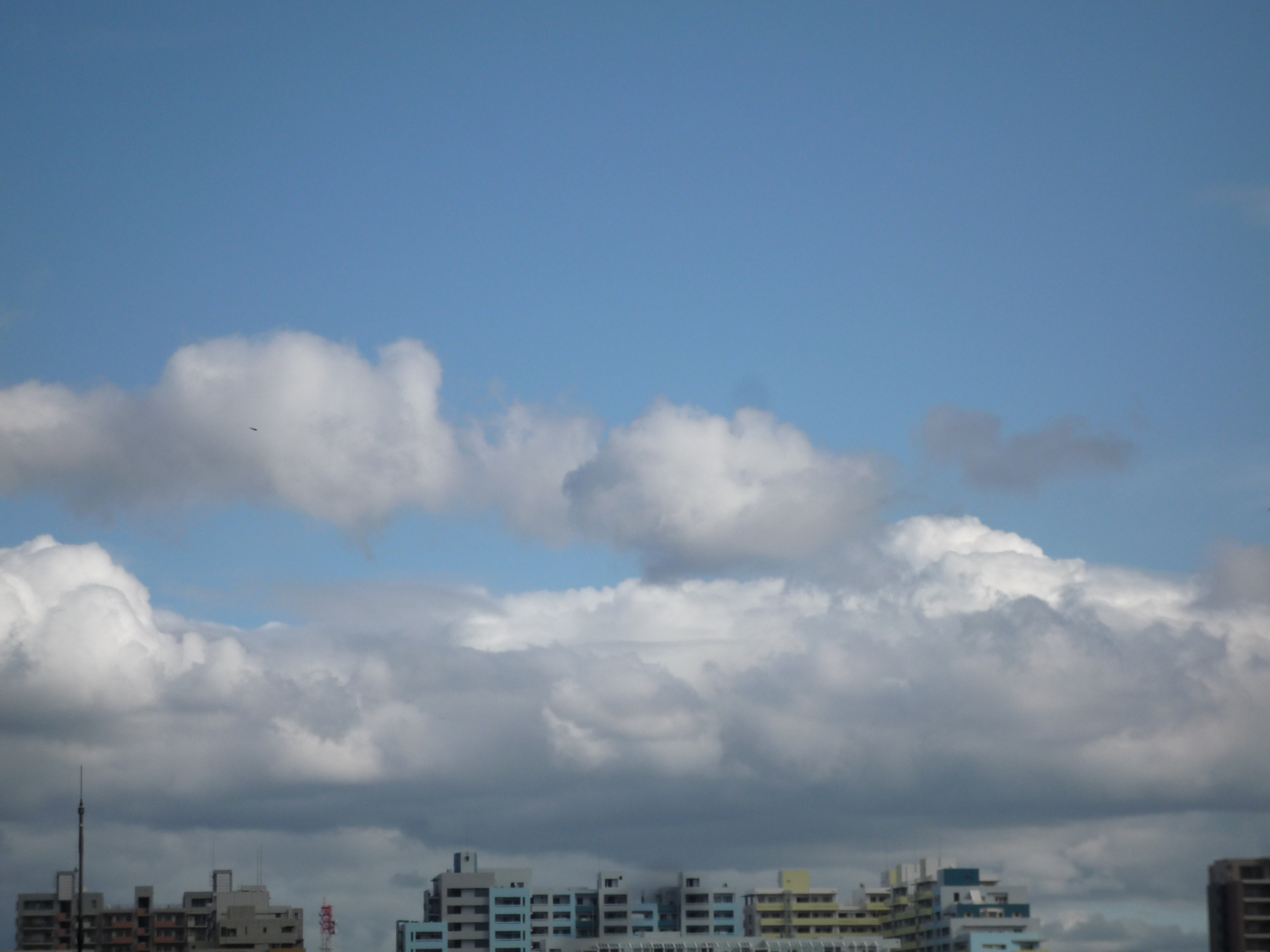 幕張の空 I癒しの森 千奈美 2